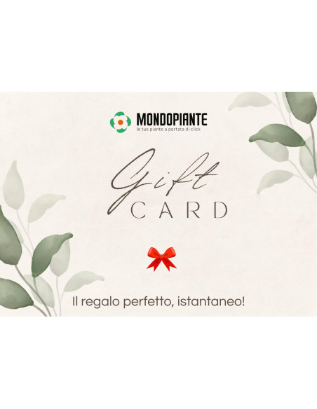 Vendita Gift Card Digitale Mondo Piante €25-Idee regalo|Mondo Piante