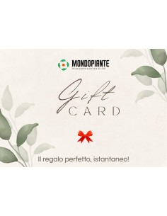 Gift Card Digitale Mondo...