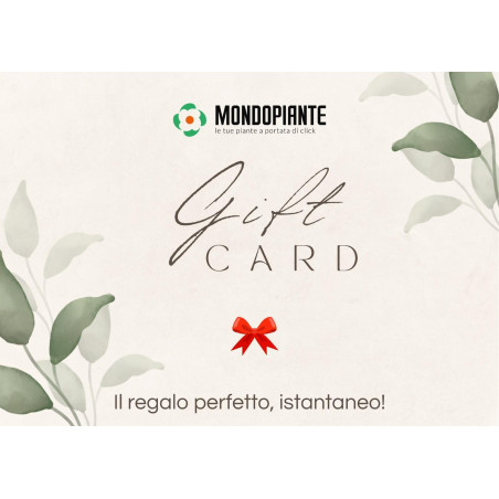 Vendita Gift Card Digitale Mondo Piante €100-Idee regalo|Mondo Piante