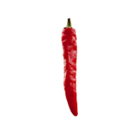 On-line Sale of the Strawberry plant-Aromatic Plants|Mondo Piante