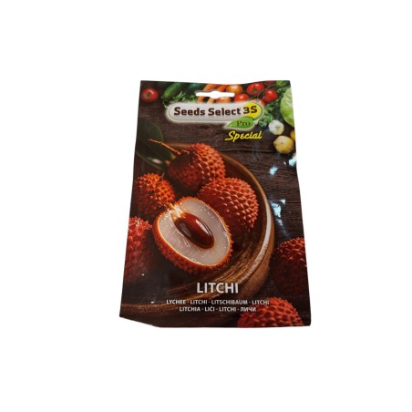 Vendita Semi di Litchi chinensis-Semi Particolari|Mondo Piante
