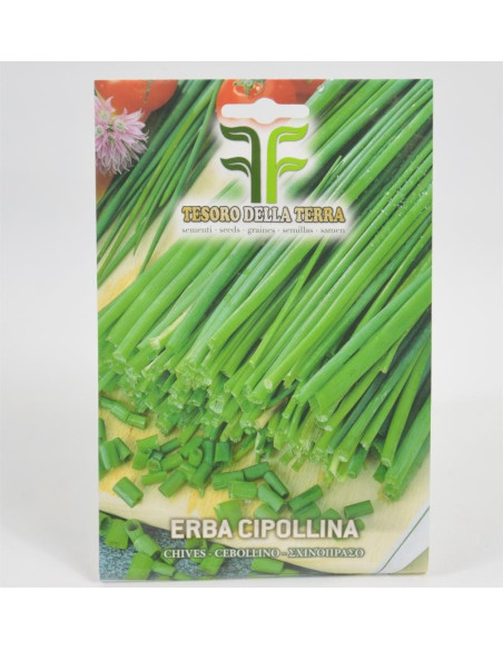 Vendita Semi di Erba Cipollina-Semi Piante Aromatiche|Mondo Piante