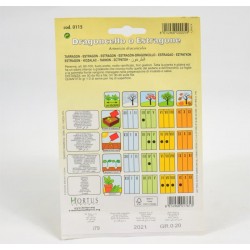 Dragonecello Seeds 2