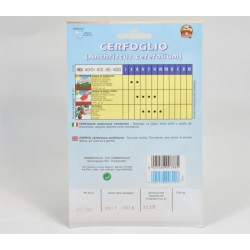 Chervil Seeds 2