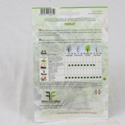 Parsley Seeds 2