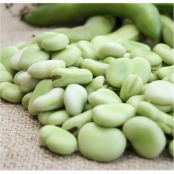 Semi Fava superaguadulce 500gr