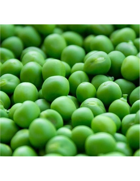 Vendita Semi Pisello Mezza Rama Lincoln-Semi OnLine|Mondo Piante