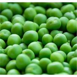 Dwarf Pea Wonder Of Italy...