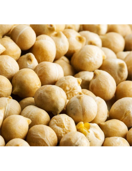 Vendita Semi di Cece Turco-Semi per Orto OnLine | Mondo Piante