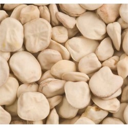 Semi Cicerchia 500gr