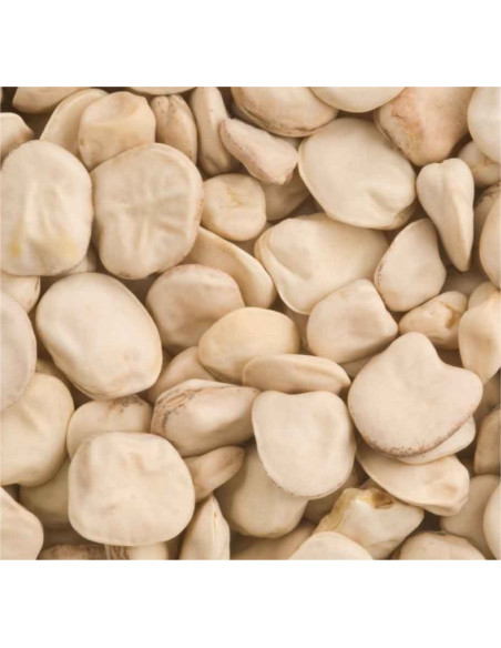 Vendita Semi di Cicerchia-Semi per Orto OnLine | Mondo Piante