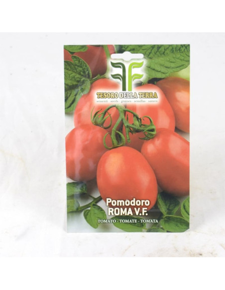 Rome Tomato Seeds for Sale-Seeds Online | Mondo Piante