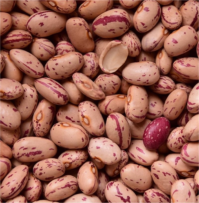 Semi Di Fagiolo Rampicante Borlotto Lingua Di Fuoco - Confezione Da 100g (circa 200 Semi), Per Orto E Giardino - Foto 13