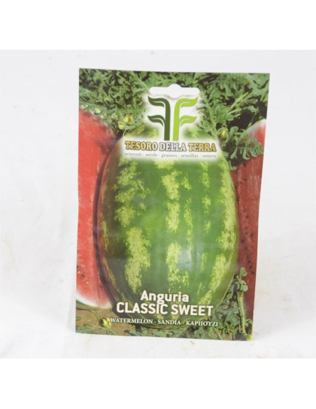 Long Classic Sweet Watermelon Seeds for Sale-Seeds Online|Mondo Piante