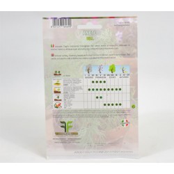 Dill Seeds 2