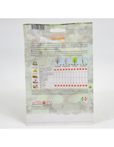 Vendita Semi di Alloro-Semi Piante Aromatiche OnLine | Mondo Piante