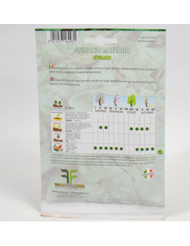 Vendita Semi di Spinaci 500gr-Semi per Orto OnLine | Mondo Piante