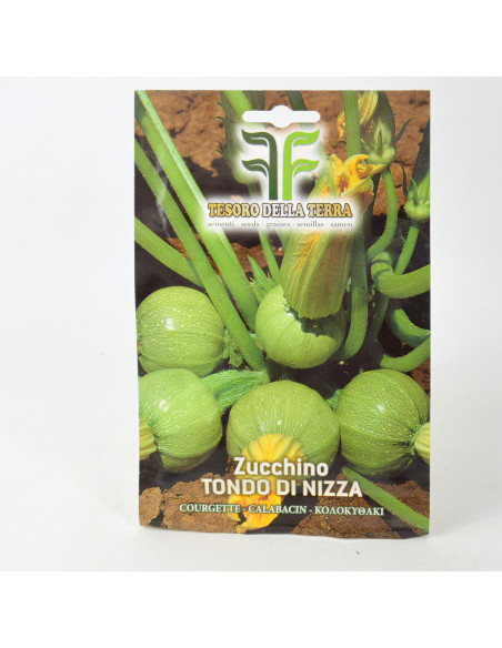 Squash blossom Seeds for Sale-Seeds Online | Mondo Piante
