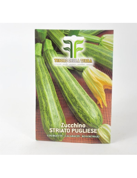 Zucchina Pugliese Seeds for Sale-Seeds Online | Mondo Piante