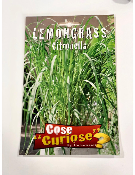 Vendita Semi di Citronella-Semi Particolari OnLine|Mondo Piante