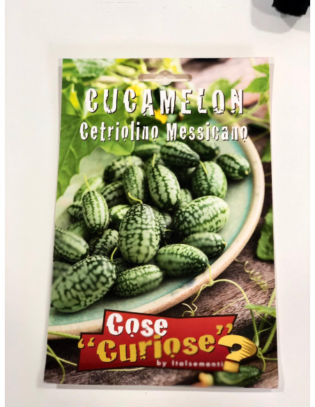 Vendita Semi di Cucamelon-Semi Particolari OnLine|Mondo Piante