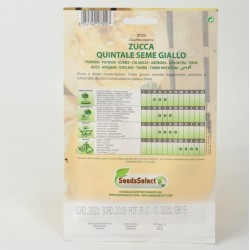 Quintal Pumpkin Seeds 2