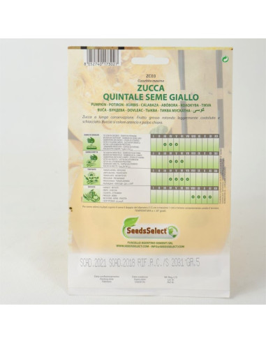 Vendita Semi di Zucca Quintale-Semi per Orto OnLine | Mondo Piante