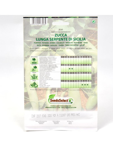 Vendita Semi di Zucca Lunga Serpente Di Sicilia-Semi Orto|Mondo Piante