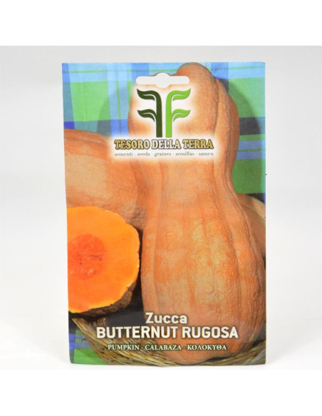 Butternut Pumpkin Seeds for Sale-Seeds Online | Mondo Piante