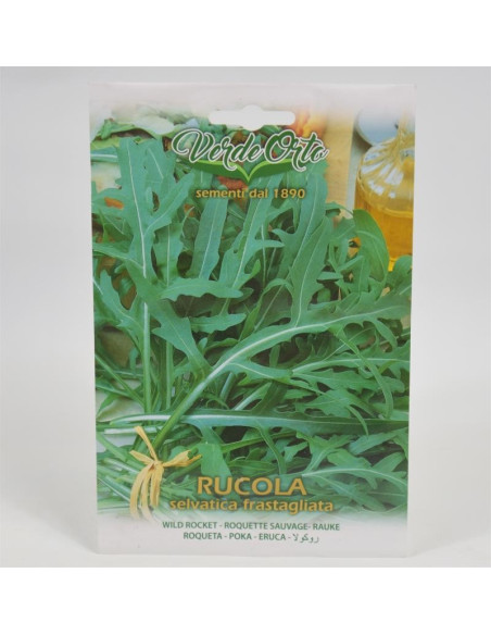 Rocket Seeds for Sale-Seeds Online | Mondo Piante