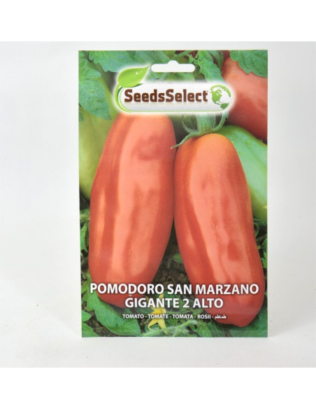 San Marzano Tomato Seeds for Sale-Seeds Online | Mondo Piante