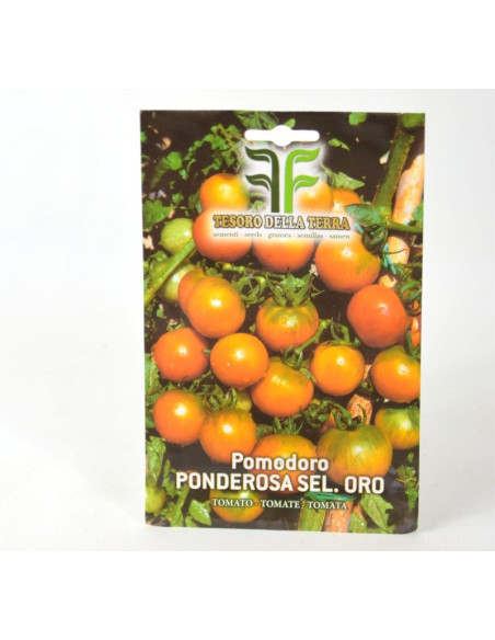 Ponderosa Tomato Seeds for Sale-Seeds Online | Mondo Piante