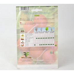 National Radish Seeds 2