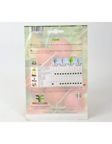 Vendita Semi di Ravanello Nazionale-Semi Orto OnLine | Mondo Piante