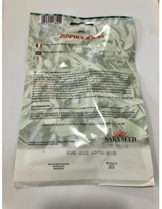 copy of Carpinus Betulus Seeds 2