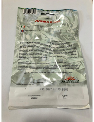 Vendita Semi di Ziziphus jujuba-Semi Particolari OnLine|Mondo Piante