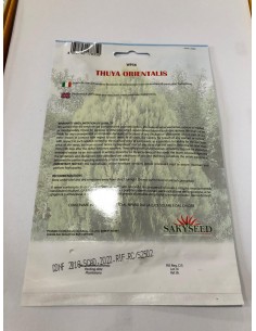 copy of Carpinus Betulus Seeds 2
