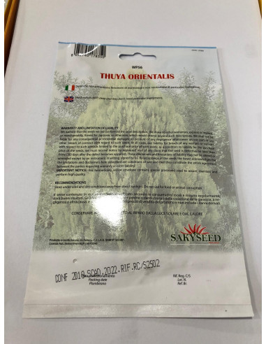 Vendita Semi di Thuya Orientalis-Semi Particolari OnLine|Mondo Piante