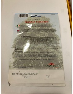 copy of Carpinus Betulus Seeds 2