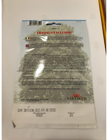 Vendita Semi di Frassino maggiore-Semi Particolari OnLine|Mondo Piante
