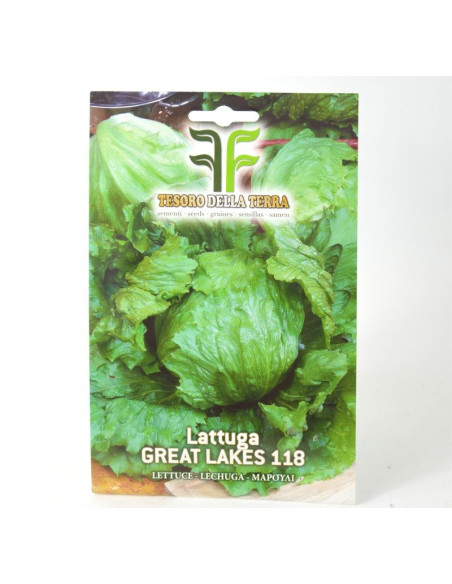 Salad Seeds for Sale-Seeds Online | Mondo Piante