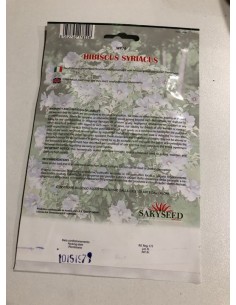 copy of Carpinus Betulus Seeds 2