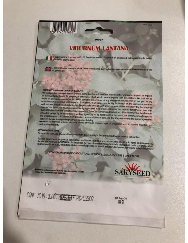Vendita Semi di Viburnum Lantana-Semi Particolari Online|Mondo Piante