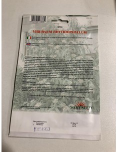 copy of Carpinus Betulus Seeds 2