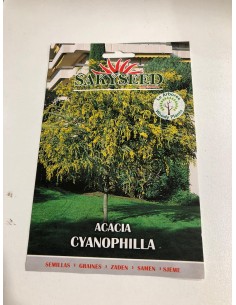 copy of Carpinus Betulus Seeds