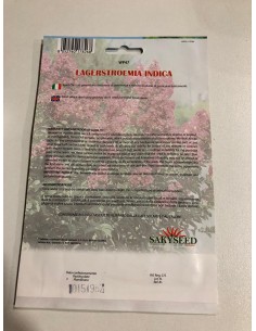Semi di Lagerstroemia indica 2