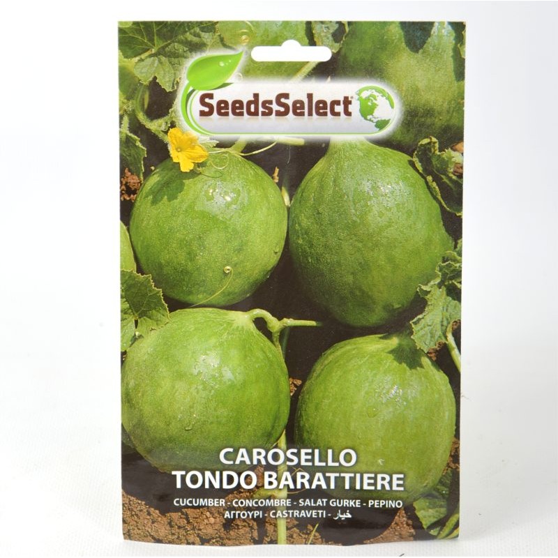 20 Carosello BARATTIERE seeds semi sementi ortaggio orto vegetable cucumis