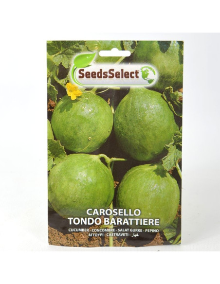 Barterer Carousel Seeds for Sale-Seeds Online | Mondo Piante