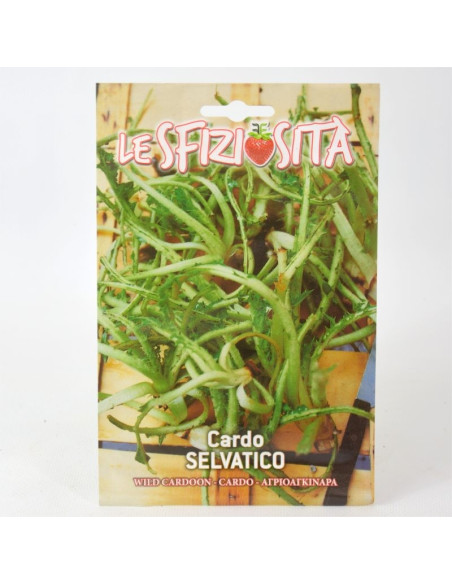 Wild Thistle Seeds for Sale-Seeds Online | Mondo Piante