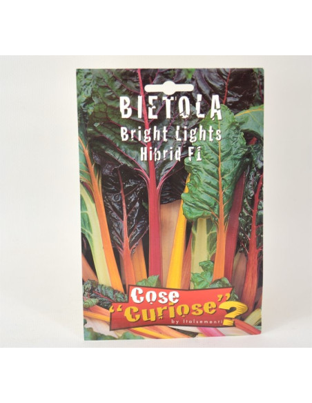 Multicolored Chard Seeds for Sale-Seeds Online | Mondo Piante
